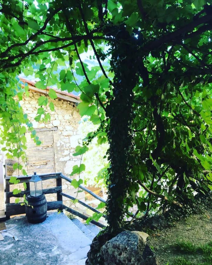 L'Echappee En Vercors Choranche Zewnętrze zdjęcie
